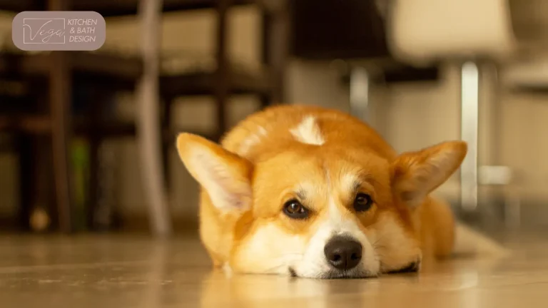 Designing-a-Pet-Friendly-Kitchen-Merging-Style-and-Function